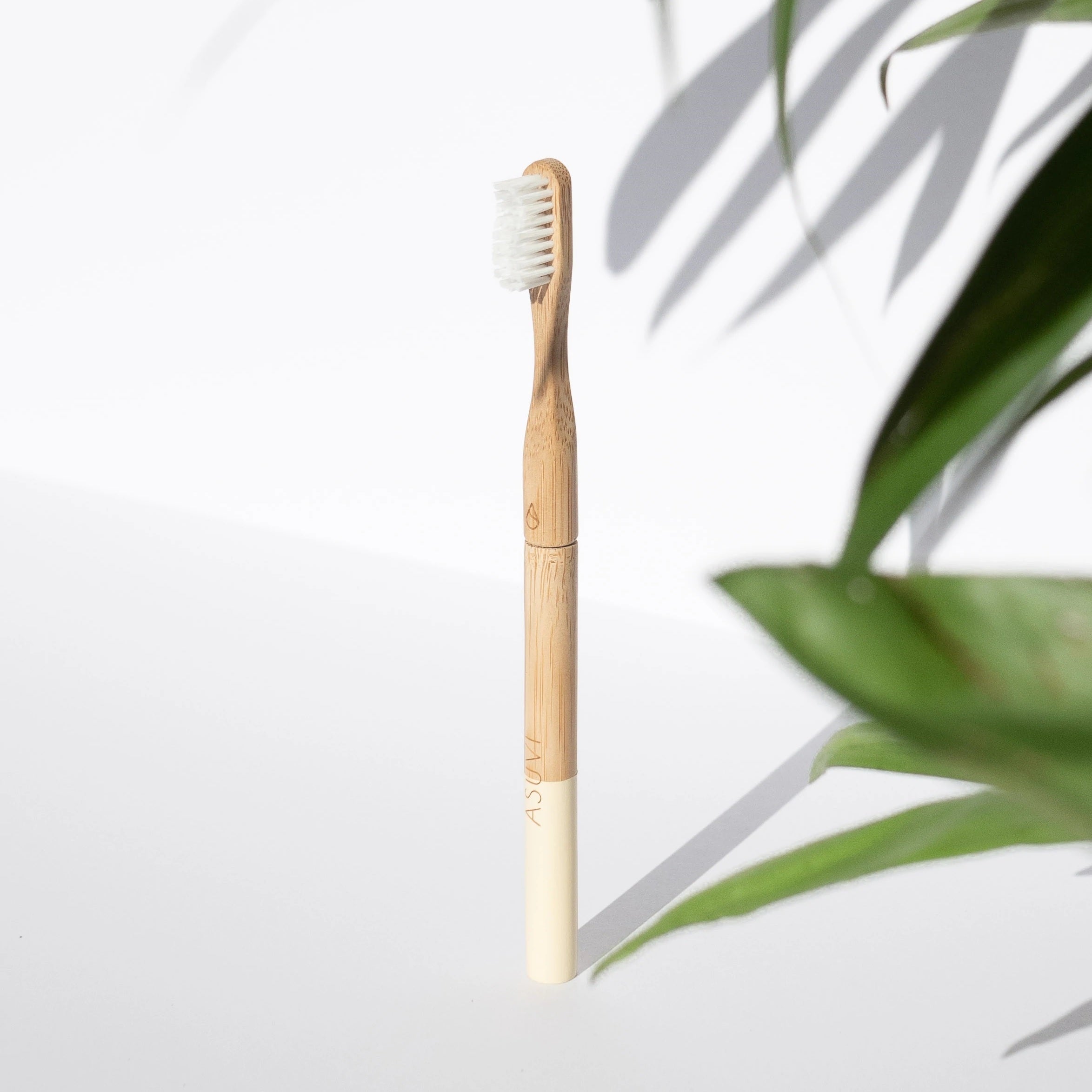 Asuvi Bamboo Toothbrush - M 環保竹牙刷 - 硬毛